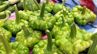 瓜叶怎么吃不黄,如何避免烹饪后变黄