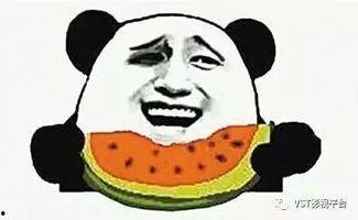 疯狂吃瓜的人,揭秘娱乐圈的幕后故事