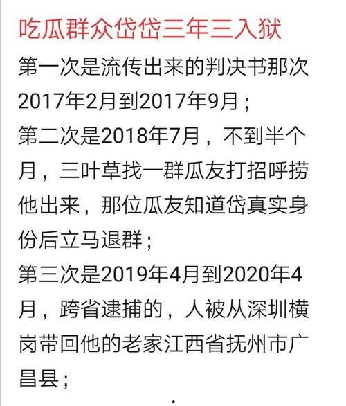 吃瓜群众岱最新,一场全民参与的娱乐盛宴