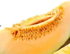 蜜瓜和鱼能不能一起吃,探寻饮食搭配的奇妙组合