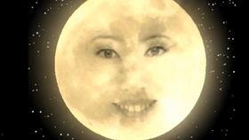 默默地吃瓜,品味人间百态