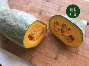 贵族贡瓜怎么吃,品味皇室级瓜果的奢华享受