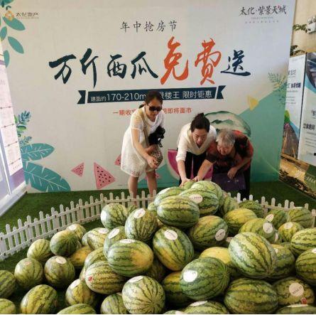 万朝吃瓜,吃瓜群众眼中的历史变迁