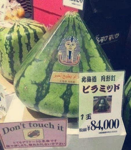 全球最强吃瓜群众