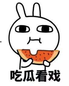 阿叮吃瓜酱,揭秘娱乐圈幕后故事