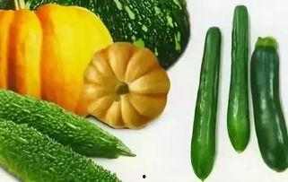 夏吃豆秋吃瓜,夏豆秋瓜，养生之道