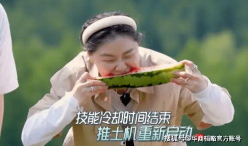 冤种同桌吃瓜,吃瓜看戏，揭秘校园里的欢乐日常