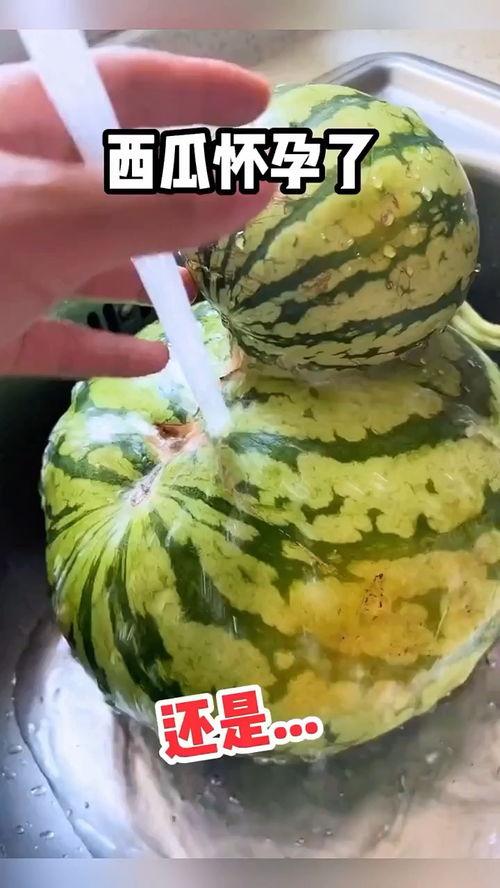 国超搞笑视频吃瓜,吃瓜群众笑翻天，瓜田里的欢乐时光