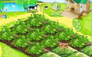 吃瓜也欢乐小说,一部现代都市的甜蜜瓜田