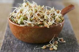 ccggbet吃瓜,揭秘网络吃瓜背后的娱乐狂欢