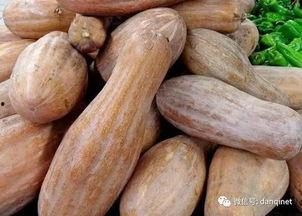 香炉方瓜怎么吃,解锁美味新体验