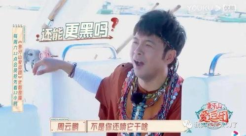 宝哥也吃瓜,揭秘娱乐圈幕后故事