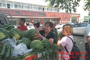 曲靖麒麟事件吃瓜群众,吃瓜群众视角下的真相揭秘