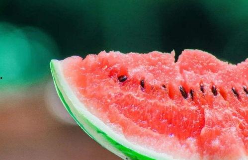 为什么热闹吃瓜,探究社会舆论的狂欢与反思