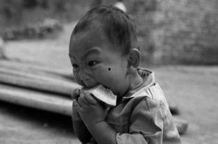 吃瓜小孩打架,吃瓜小孩的打架事件始末