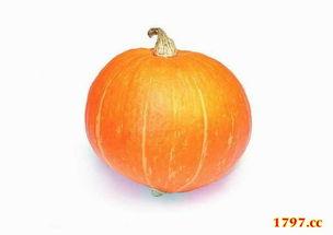 今日吃大瓜必吃大瓜,揭秘娱乐圈最新热点