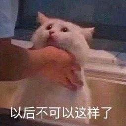 朝阳群众吃瓜群,揭秘京城百姓生活点滴