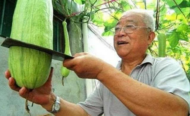 男子吃瓜被砍,遭遇砍伤惊魂记