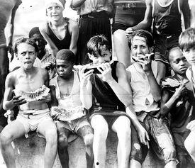 吃瓜群众时尚布料,吃瓜群众时尚布料引领潮流风尚