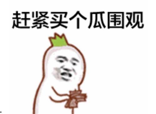 吃瓜的表情怎么解释,揭秘网络社交中的趣味与心理