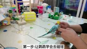 吃瓜又爱看戏,揭秘娱乐圈幕后故事