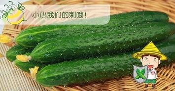 深深吃瓜,深度解析“深深吃瓜”背后的故事