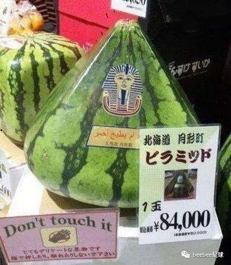 中国吃瓜群众影像,网络时代的全民围观现象解析