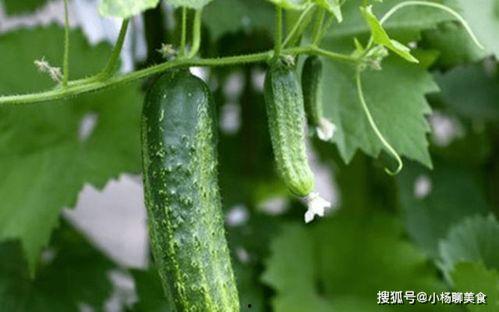 推推吃瓜,揭秘娱乐圈幕后故事